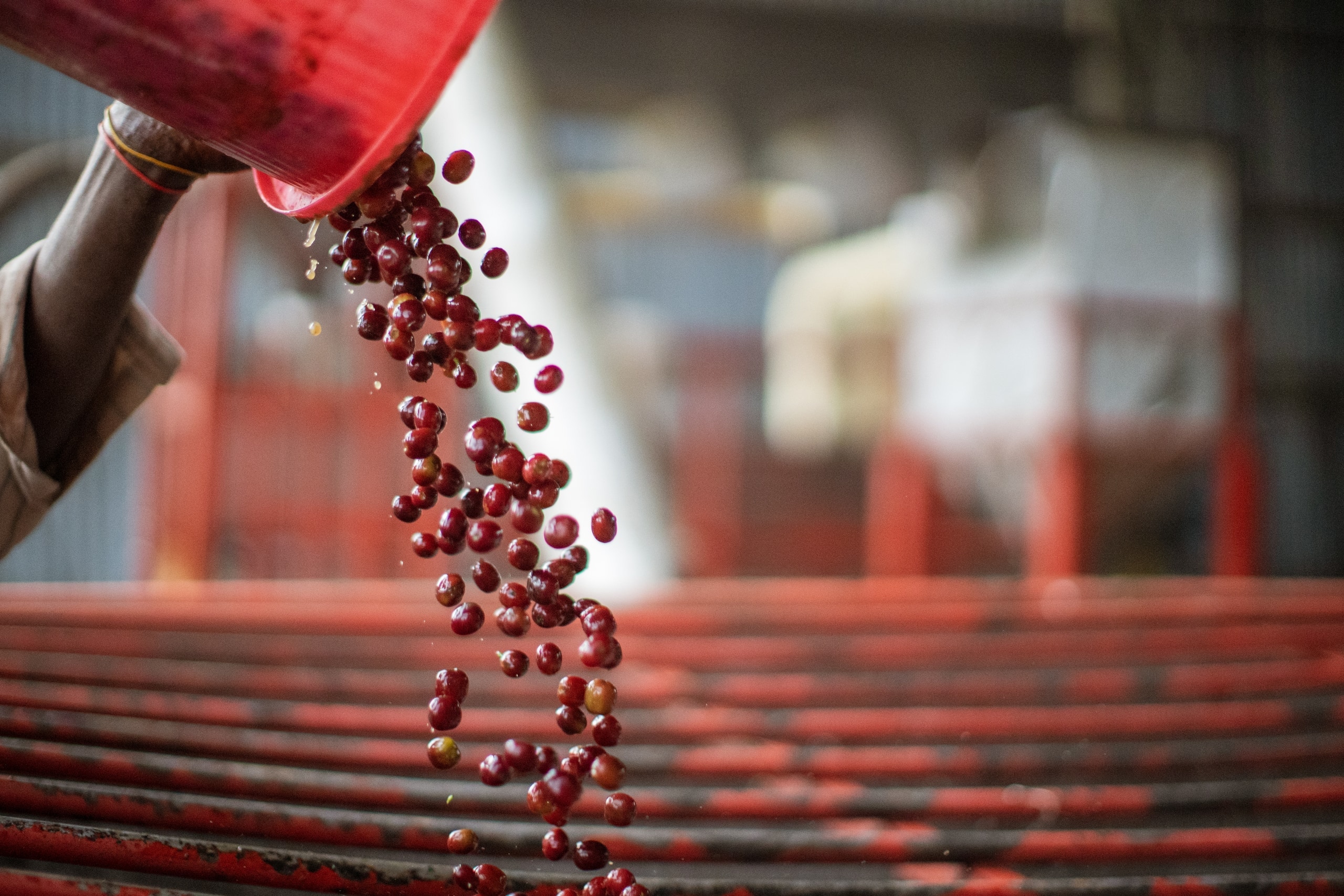 Horra Trading export operations
